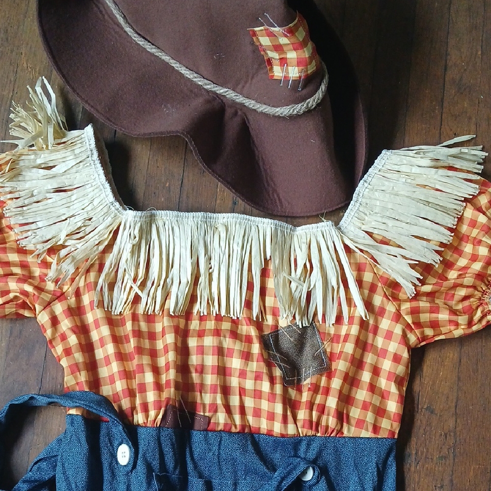 Cornfield Cutie Halloween  Scarecrow Costume - Picture 4 of 10